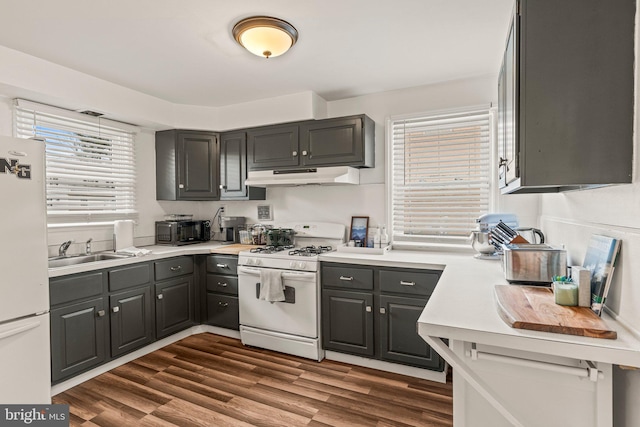 kitchen with under cabinet range hood, white appliances, a sink, light countertops, and dark wood finished floors