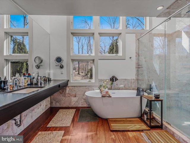 full bath featuring a freestanding tub, wood finished floors, a sink, wainscoting, and a stall shower