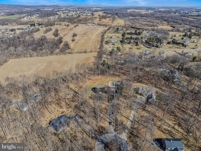 bird's eye view