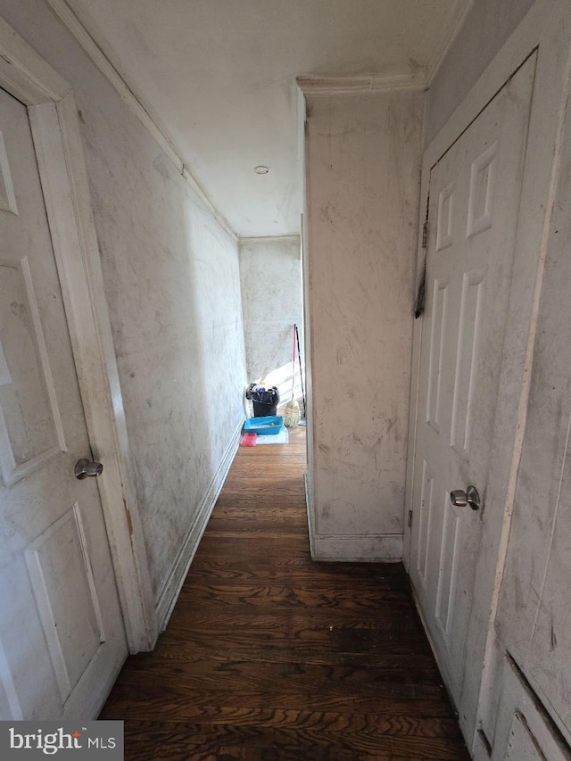 hallway with dark wood finished floors