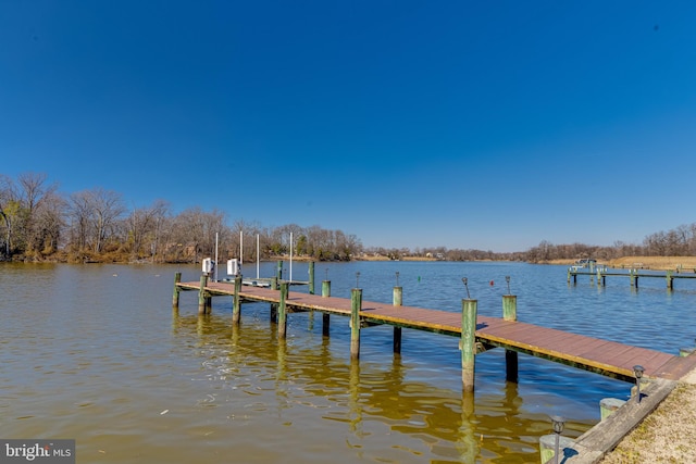 view of dock with a water view and boat lift