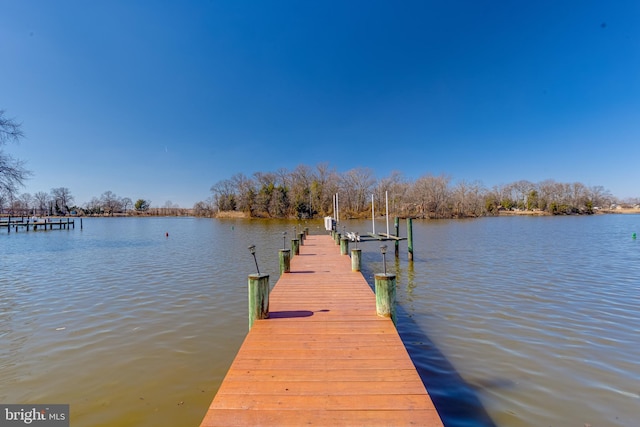 dock area with a water view