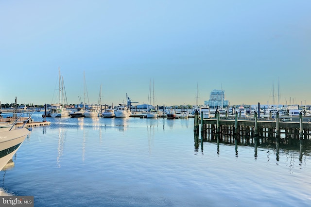 dock area with a water view