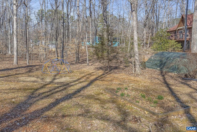 view of yard with a vegetable garden