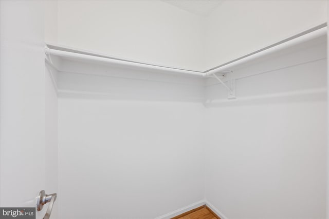 spacious closet featuring wood finished floors