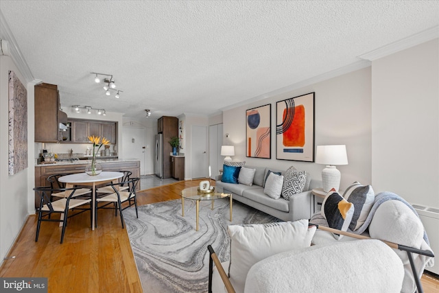 living room with light wood finished floors, radiator heating unit, ornamental molding, and a textured ceiling