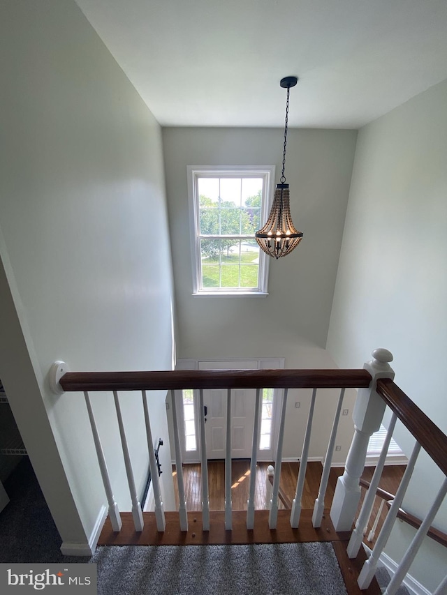 stairway featuring wood finished floors