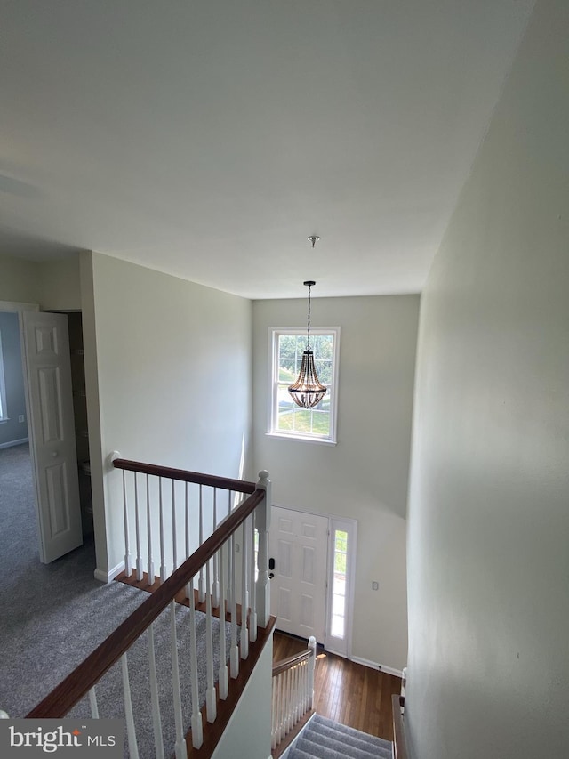 foyer with baseboards, a chandelier, and wood finished floors