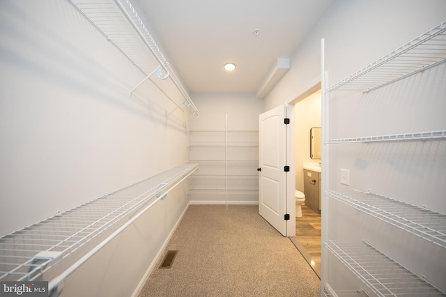 103 Matte Ln, Havre De Grace, MD 21078 - walk in closet featuring carpet floors