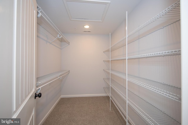 103 Matte Ln, Havre De Grace, MD 21078 - walk in closet with carpet flooring and attic access