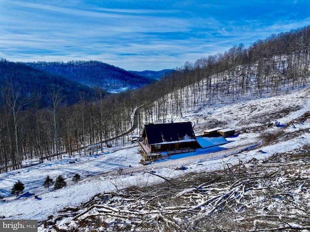 1608 Woodyard Rd, Grafton, WV 26354 - mountain view