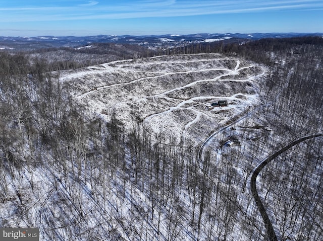1608 Woodyard Rd, Grafton, WV 26354 - bird's eye view with a mountain view
