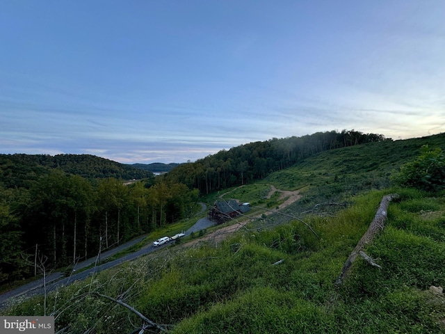 1608 Woodyard Rd, Grafton, WV 26354 - mountain view featuring a view of trees