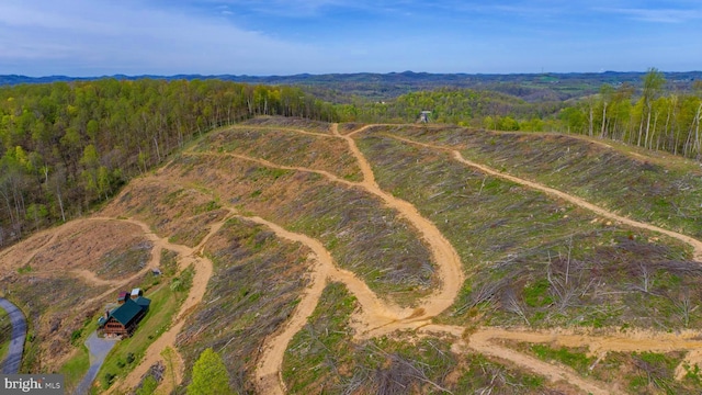 1608 Woodyard Rd, Grafton, WV 26354 - aerial view featuring a forest view
