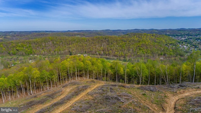 1608 Woodyard Rd, Grafton, WV 26354 - birds eye view of property featuring a forest view
