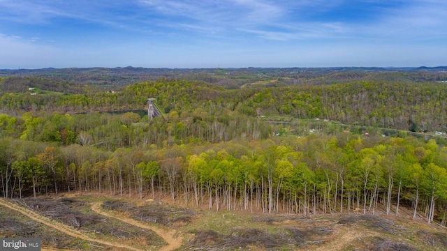 1608 Woodyard Rd, Grafton, WV 26354 - aerial view with a view of trees