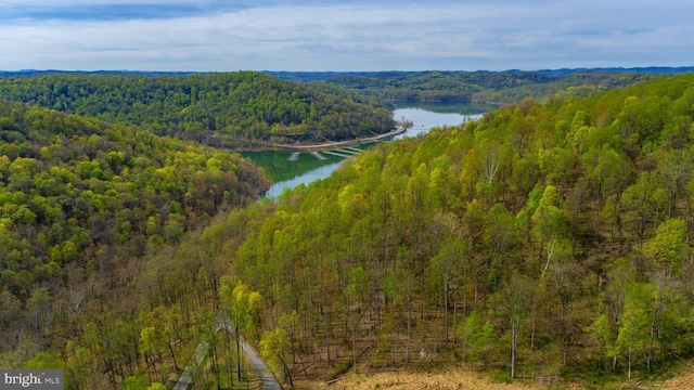 1608 Woodyard Rd, Grafton, WV 26354 - aerial view with a water view and a view of trees