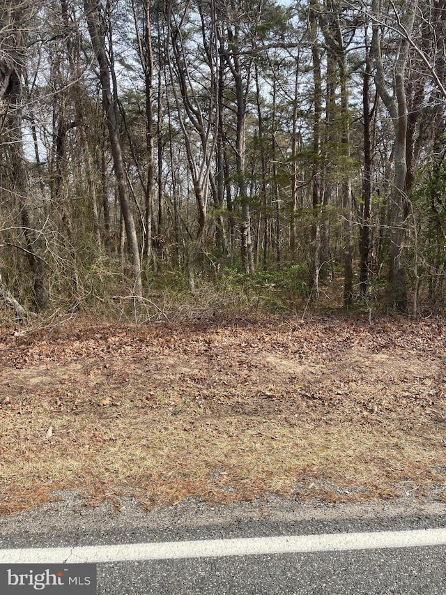 0 Sawn, Cedarville NJ, 08311 land for sale