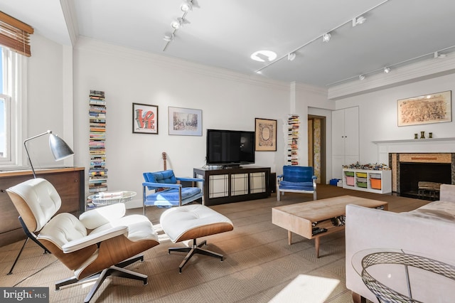 living area featuring ornamental molding, a fireplace, and track lighting