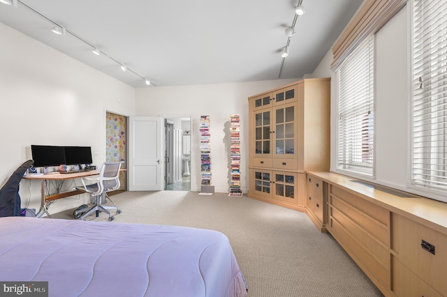 bedroom with light colored carpet and track lighting