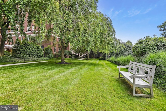 view of property's community featuring a lawn