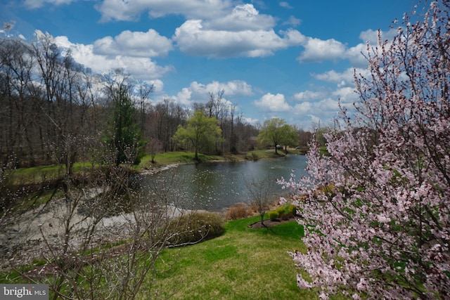 property view of water featuring a forest view