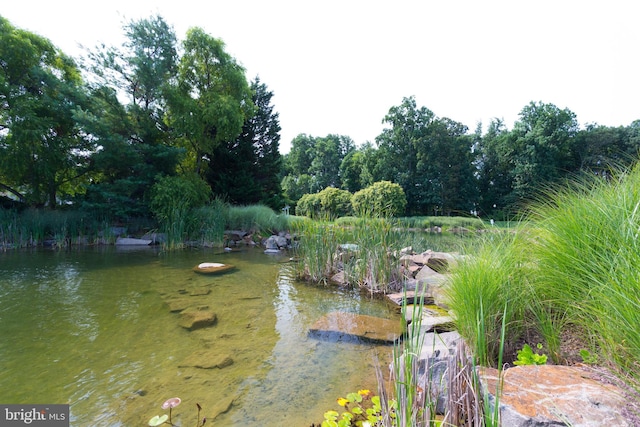 view of water feature