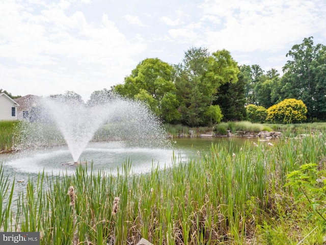 view of water feature