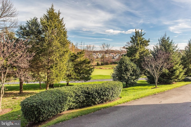 view of home's community featuring a yard