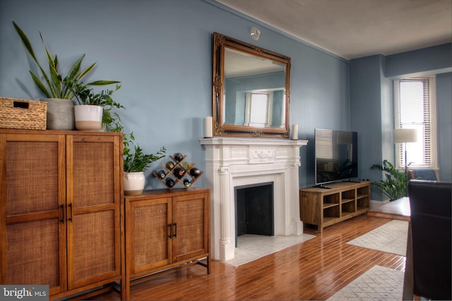 living area featuring a fireplace with flush hearth and wood finished floors