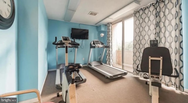 workout area featuring baseboards and carpet flooring