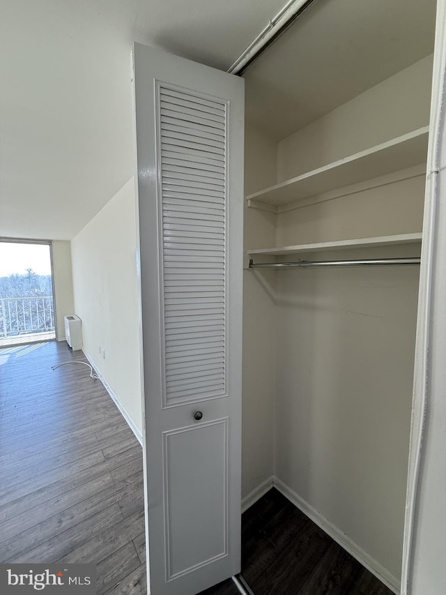 view of closet