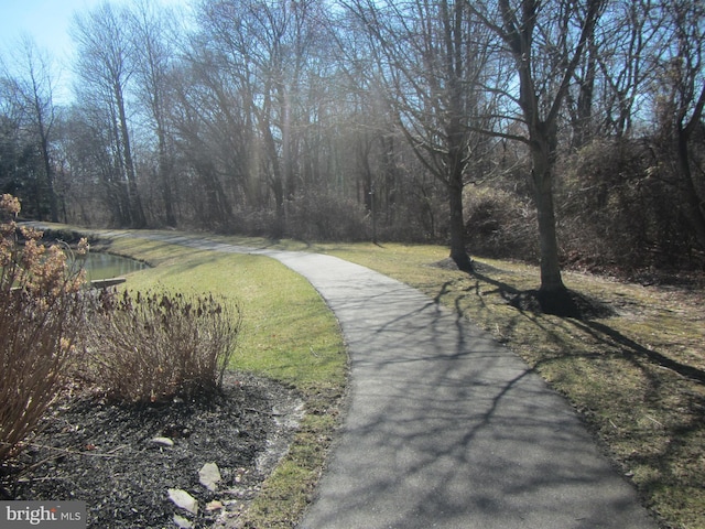 view of property's community featuring a view of trees