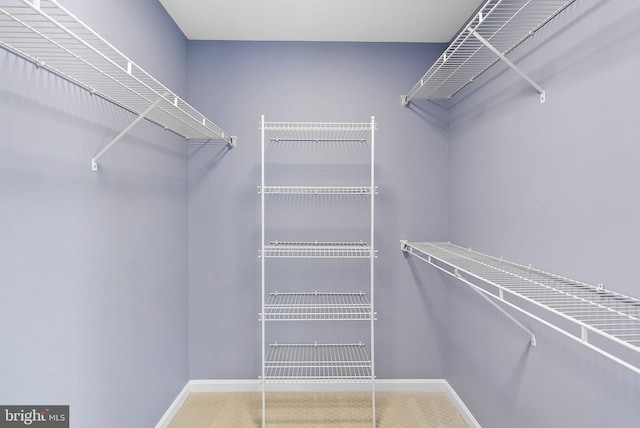 spacious closet with carpet