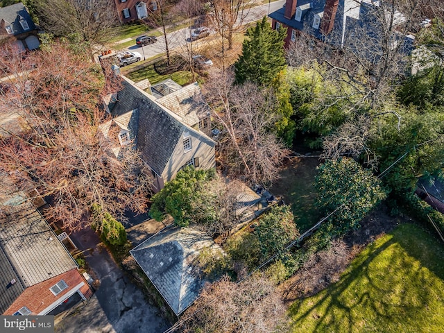 aerial view
