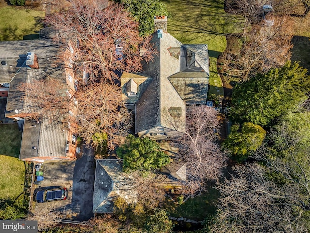 bird's eye view