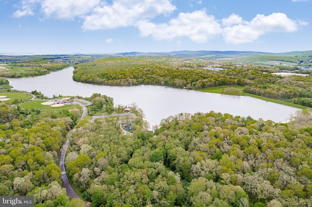 aerial view featuring a water view and a wooded view