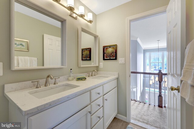 bathroom with double vanity, crown molding, baseboards, and a sink