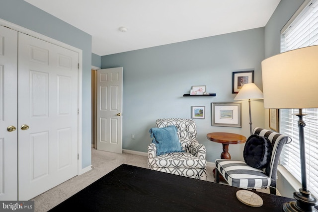 living area with carpet and baseboards