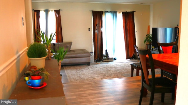 living room featuring wood finished floors