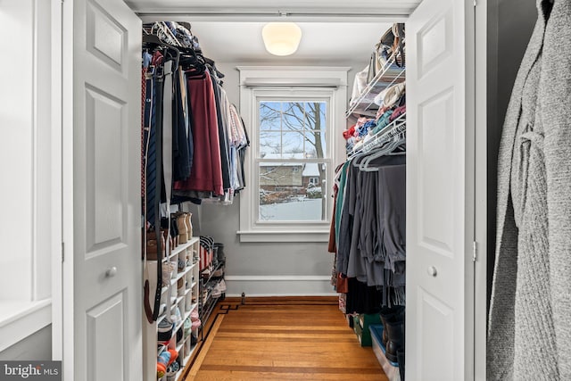 walk in closet featuring wood finished floors