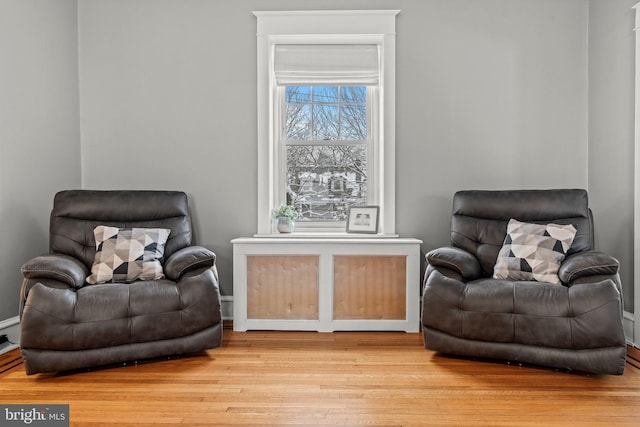 living area with wood finished floors