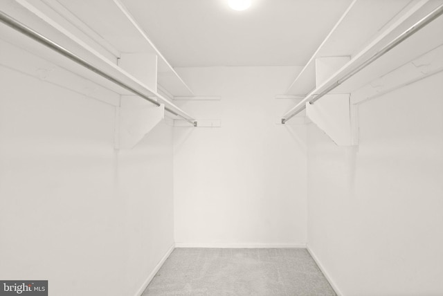 spacious closet with carpet flooring