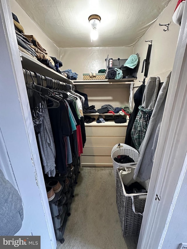 view of walk in closet