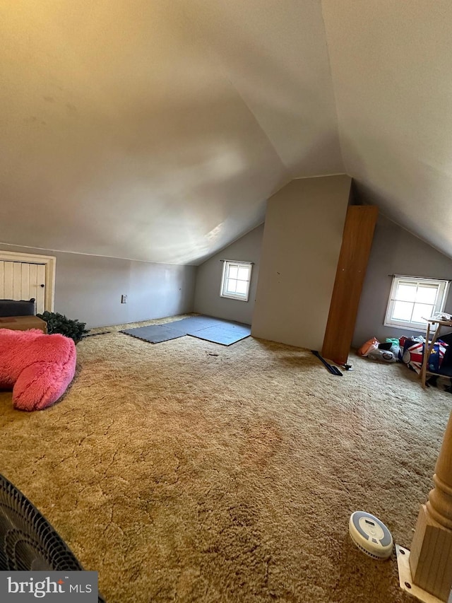 additional living space featuring a healthy amount of sunlight, carpet, and lofted ceiling