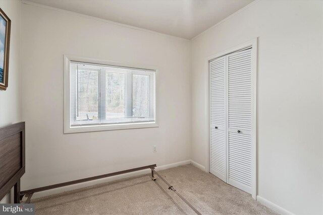 carpeted bedroom featuring ornamental molding, a closet, and baseboards