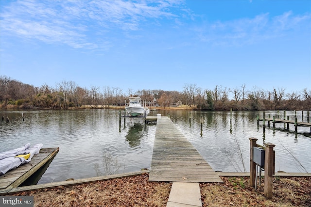 dock area with a water view