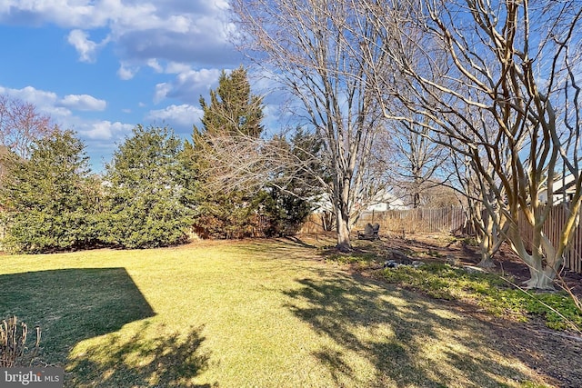 view of yard with a fenced backyard