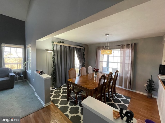 dining room featuring wood finished floors, a wealth of natural light, and baseboards