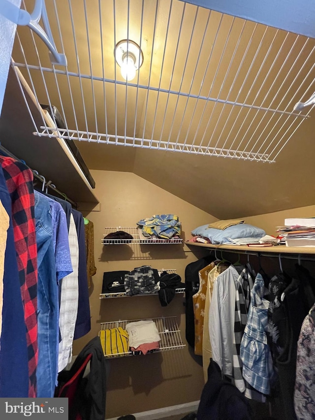 spacious closet featuring lofted ceiling